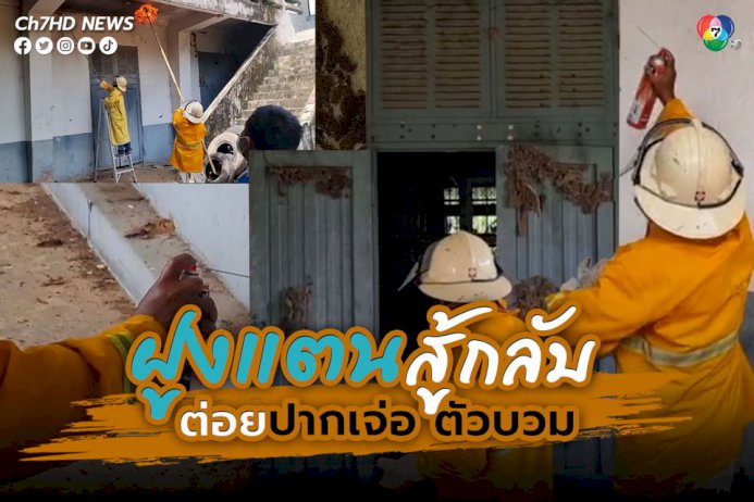 “เปาตี๋-ฑีธิชัย-นวลจันทร์”-อดีตผู้ตัดสินฟีฟา-ประสบอุบัติเหตุเสียชีวิต-ขณะขับรถกลับ