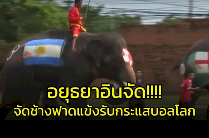 อินกระแสบอลโลก!!!-จัดทีม-“ช้าง”-ฟาดแข้ง-“นักเรียน”-ที่อยุธยา